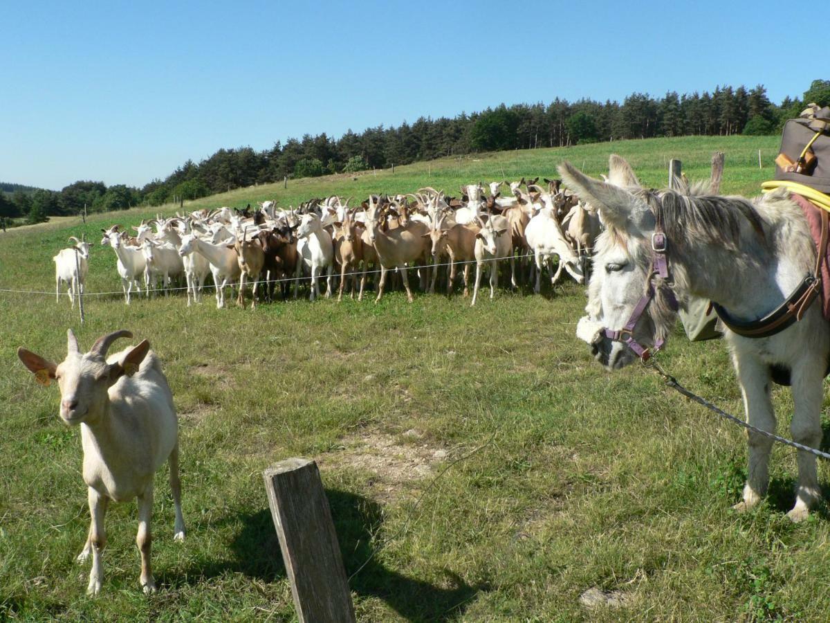 Les Soleillas Pour Votre Zen'ittude Campsite Chalencon