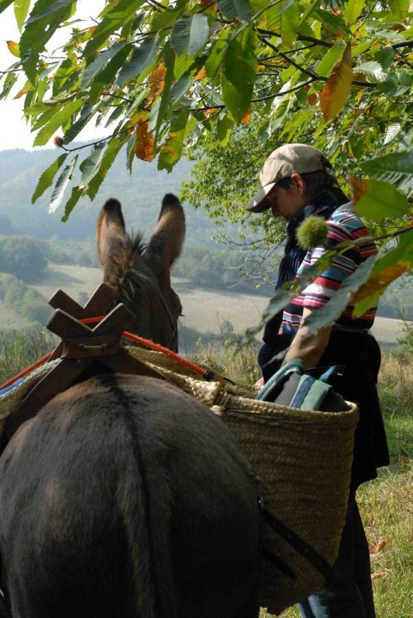 Les Soleillas Pour Votre Zen'ittude Campsite *