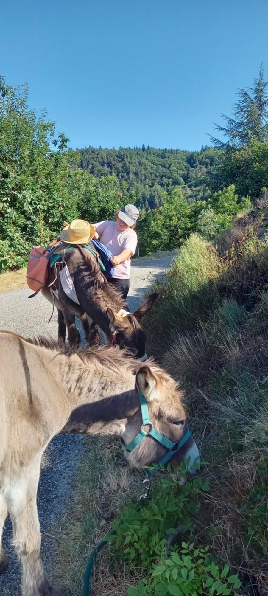 Camping Les Soleillas Pour Votre Zen'ittude Chalencon