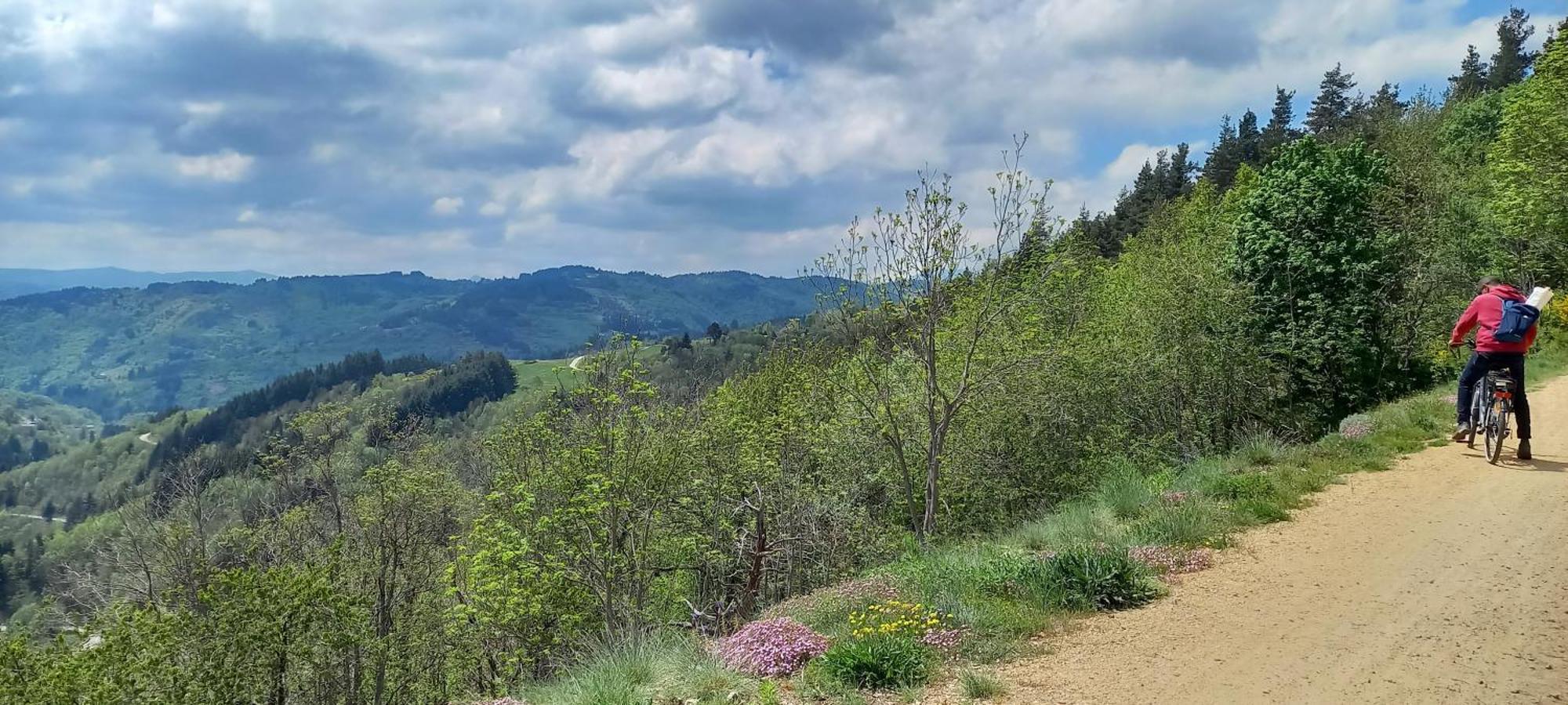 Les Soleillas Pour Votre Zen'ittude Camping Chalencon