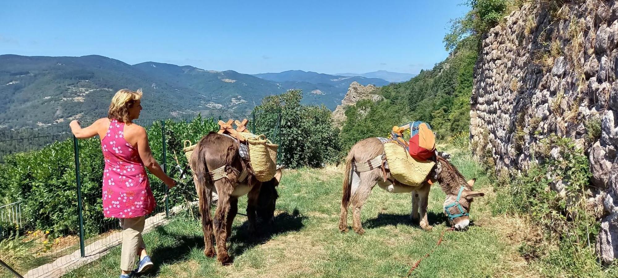 Les Soleillas Pour Votre Zen'ittude Camping