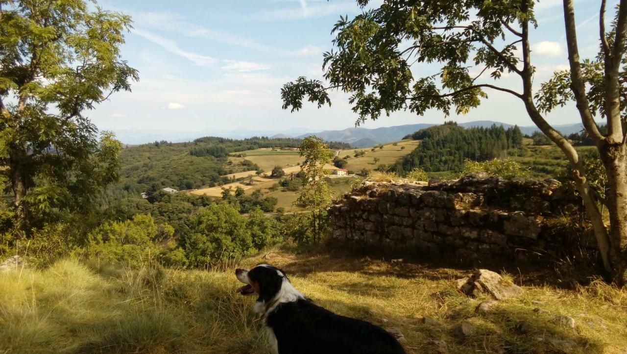 Camping Les Soleillas Pour Votre Zen'ittude *